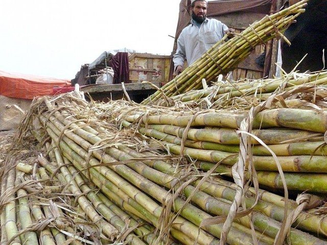 You are currently viewing Punjab govt supervising sugarcane crushing season
