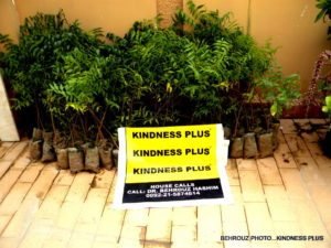 Read more about the article KARACHIITES! GROW A NEEM TREE & SAVE YOUR CHILDREN’S LIVES: DR. HASHIM