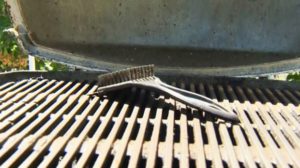 Read more about the article Bristles stuck to grilled food cause cancer: Study