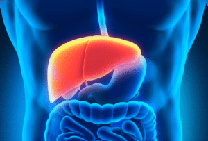 Read more about the article Teen obesity among males triggers liver troubles later in life