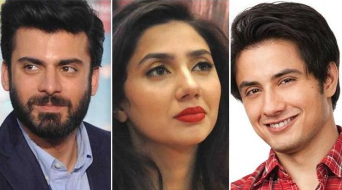 Read more about the article No harm to Pakistani actors in India: Mumbai police promise security to Pakistani actors