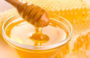 Read more about the article ‘PM’s Billion Tree Honey Initiative highly appreciable’