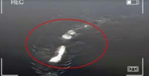 Read more about the article Now Americans have their own ‘Nessie’: Fairbanks’ Chena River Monster!