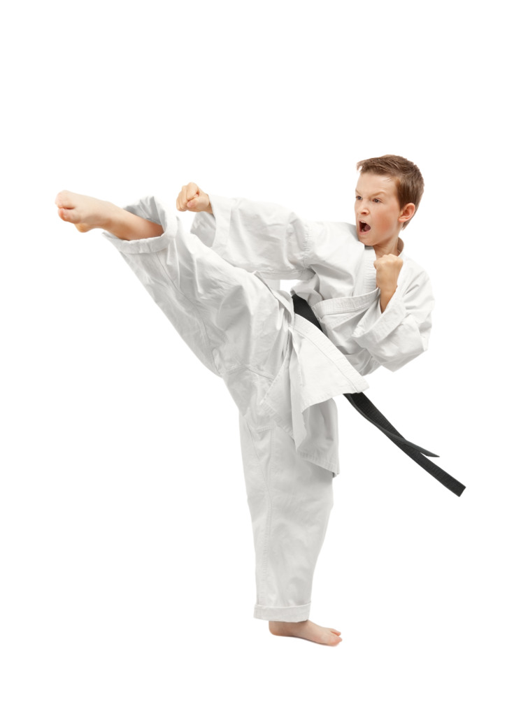 You are currently viewing Martial arts could pose severe threats to your kids: report
