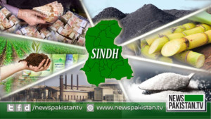 Read more about the article Sindh LG polling completes