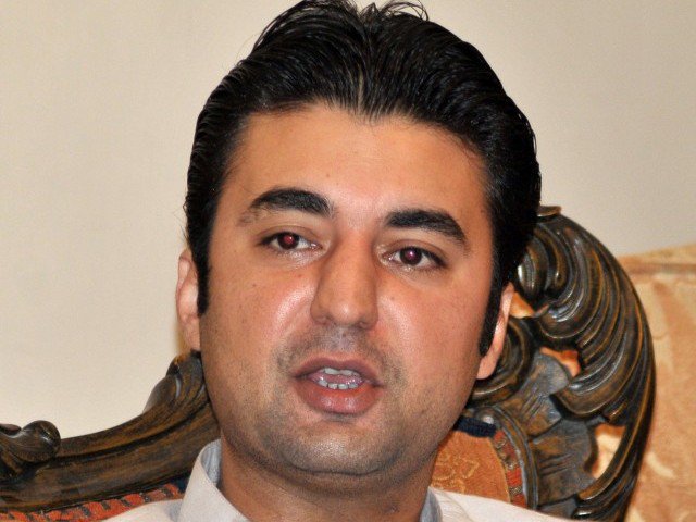 Read more about the article India constantly propagating against Pakistan at international forum: Murad Saeed