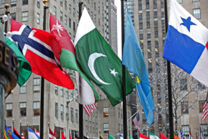 Read more about the article Pakistan wins ‘Committee for Programme and Coordination’ elections at UN