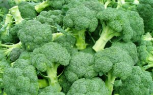 Read more about the article Apart from cancer, Broccoli could also antidote T2D: Study