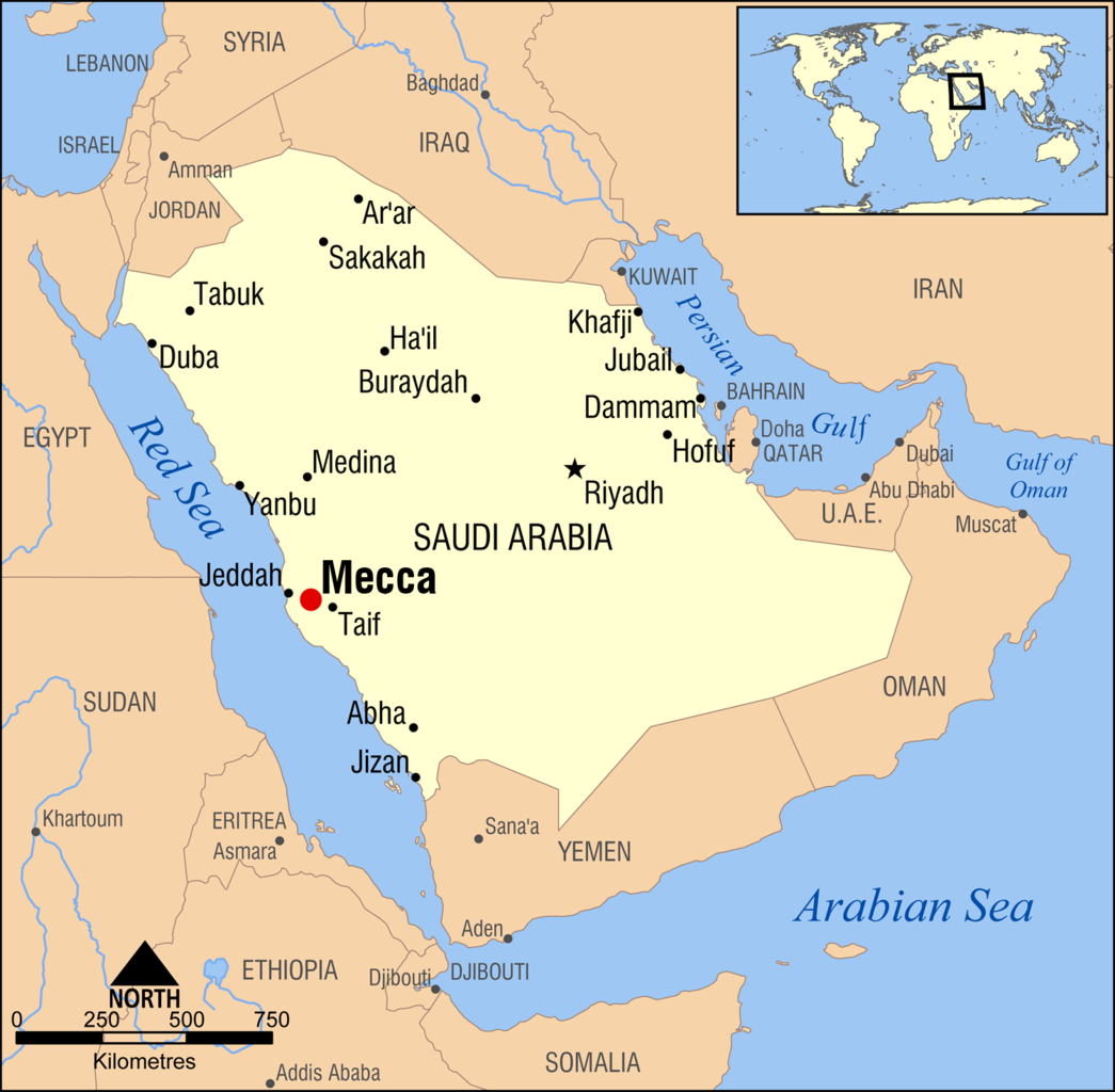 You are currently viewing Explosives-laden drone attacks at King Abdullah Airport injures ten