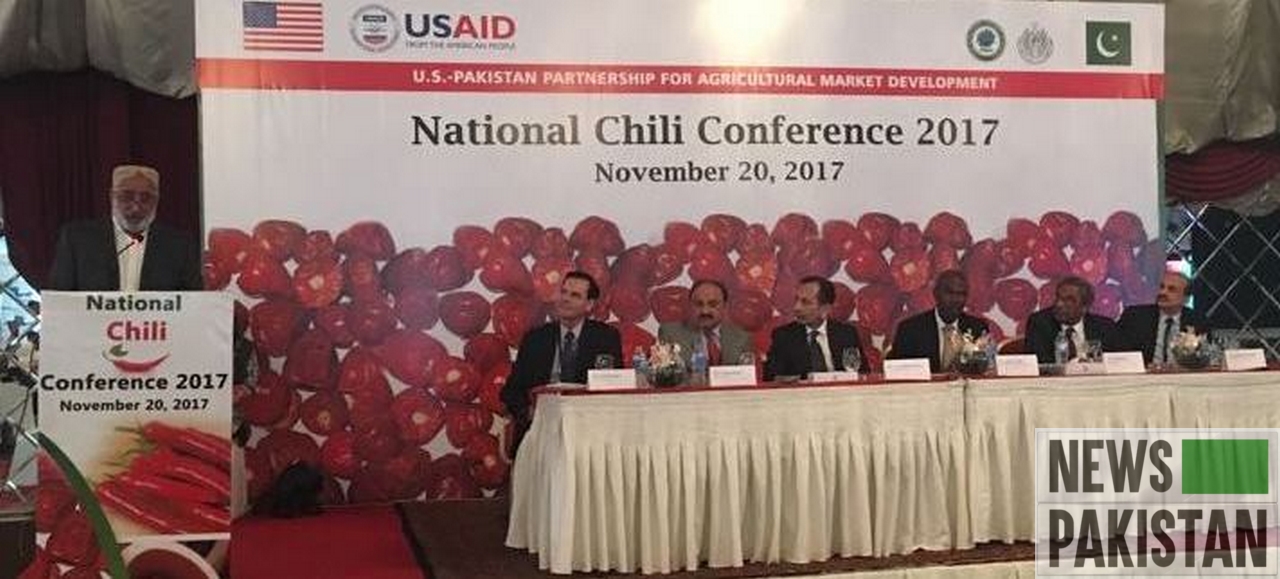 Read more about the article USAID helping boost Pakistan’s chili production!