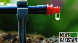 Read more about the article Drip irrigation contains water scarcity