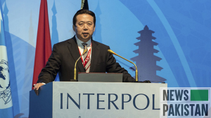 Read more about the article Wife of ex-Interpol chief seeks asylum in France