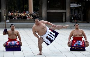 Read more about the article Only Japanese-born sumo champ retires: media