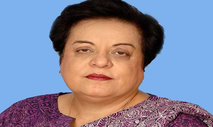 Read more about the article Govt firm in its commitment to protect rights of minorities: Shireen Mazari