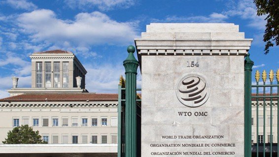 Read more about the article Australia, Brazil launch WTO action against India over sugar subsidies