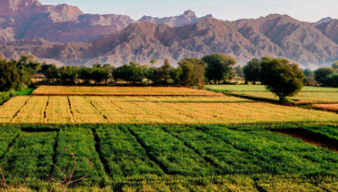 Read more about the article Pak China coop in food security
