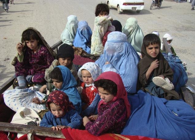 Read more about the article 389 registered Afghan families repatriated to Afghanistan: UNHCR