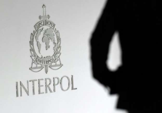 Read more about the article 50 children saved after police bust paedophile website: Interpol