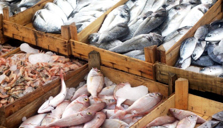 You are currently viewing Pakistani seafood export to China brisk amid robust demand: Chinese fishing company