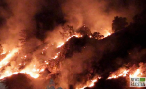 Read more about the article 1,700 firefighters battle Portugal wildfires