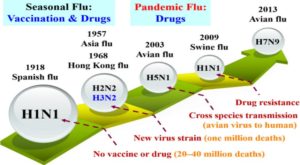 Read more about the article In addition to Coronavirus, H5N1 bird flu emerges in China