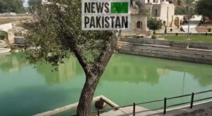 Read more about the article Hindu Yatris hosted at Katas Raj Temple