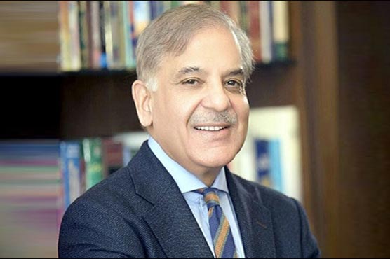 Read more about the article Shehbaz granted pre-arrest bail in assets beyond means case
