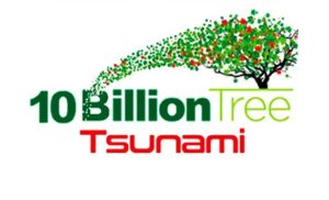Read more about the article Senate panel summons concerned stakeholders of 10 bn tree project