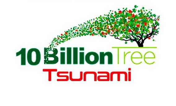 Read more about the article Planning ministry recommends Rs 2.45 billion for phase-I of Tree Tsunami Programme