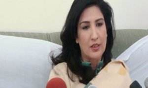 Read more about the article Shehla Raza stresses for coordination among women development department, concerned agencies