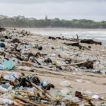 UN experts warn of ‘toxic tidal wave’ as plastic pollutes environment