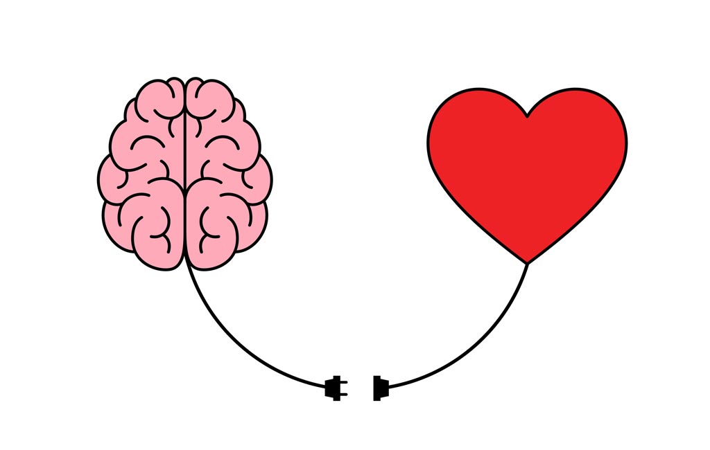 Read more about the article Scientists measure brain networks in romantic love