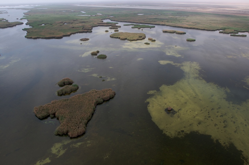 You are currently viewing Ancient Mesopotamian marshes threatened by Iraqi sewage