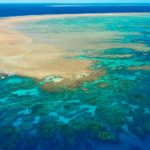 Great Barrier Reef: Australia invests $2.9b