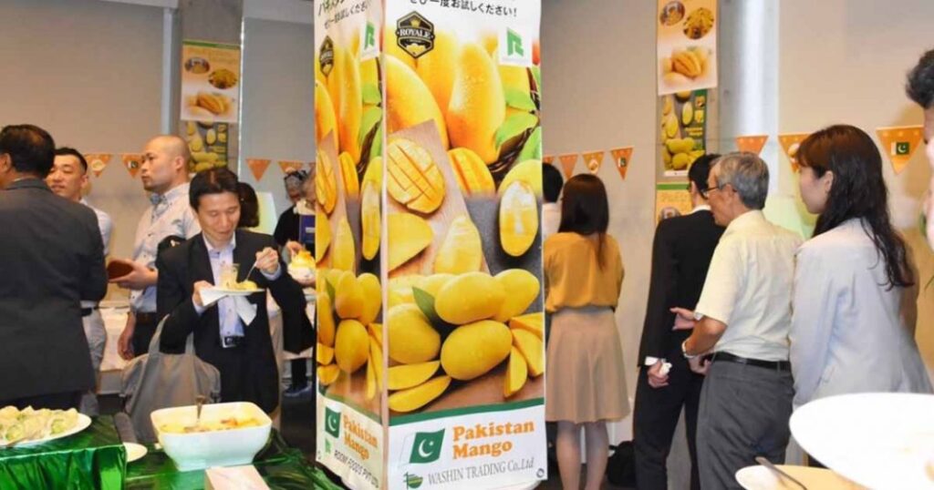 Read more about the article Pakistani mango festivals held in Shanghai, Suzhou