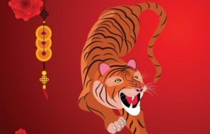 Read more about the article Chinese Year of the Tiger