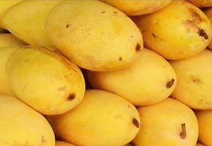 Read more about the article 60% decline in mango production