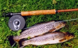 Read more about the article Catching Trout in Kaghan