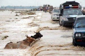 Read more about the article $500M announced for flood affectees