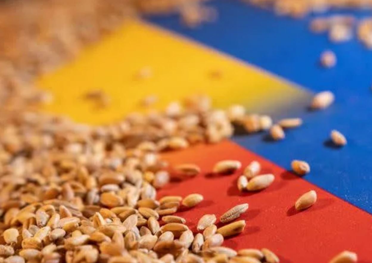 You are currently viewing Ukraine grain deal talks ongoing after Russian proposal: UN