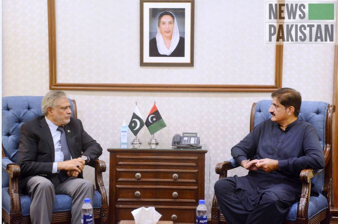 Read more about the article Fin Minister Ishaq Dar calls on CM Sindh