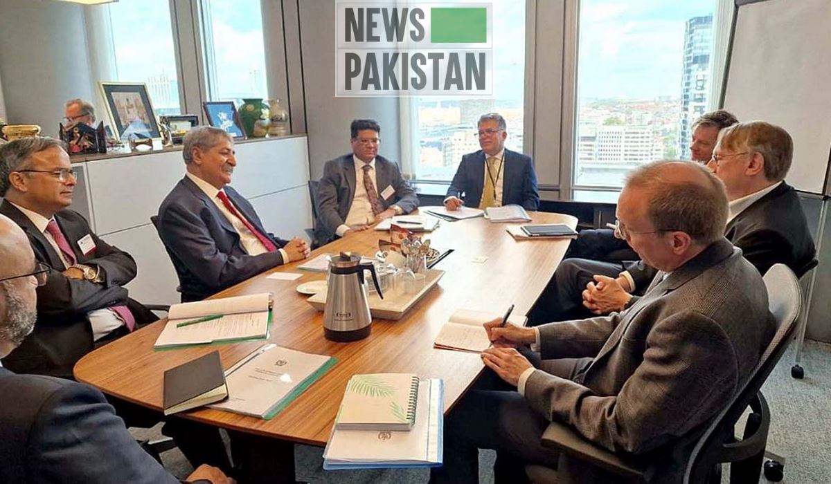 Read more about the article Naveed Qamar meets VP of EU Parliament, European Commissioner