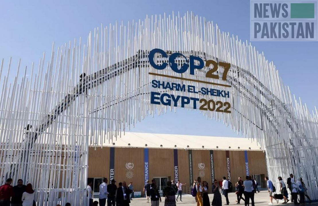 Read more about the article COP 27: World leaders gather for climate talks