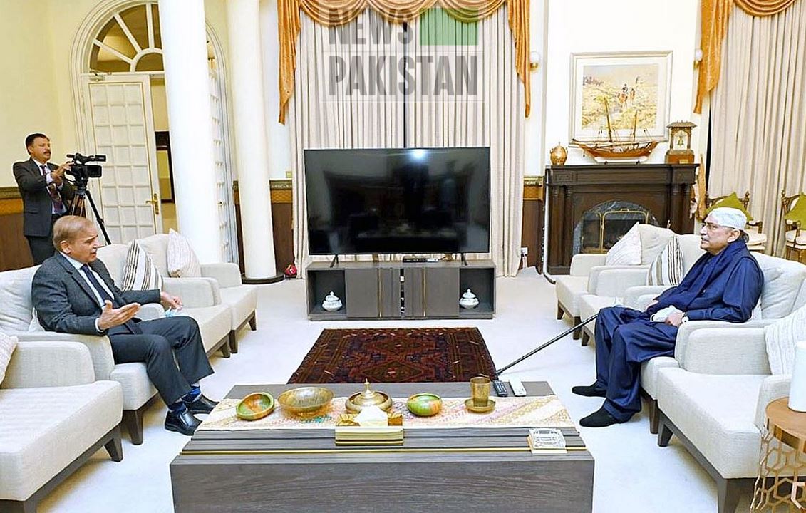 You are currently viewing Zardari calls on PM