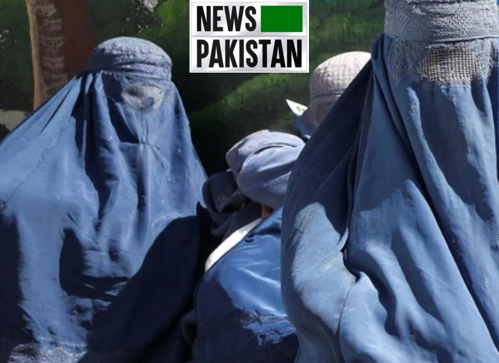 Read more about the article UN experts on Taliban curbs on women
