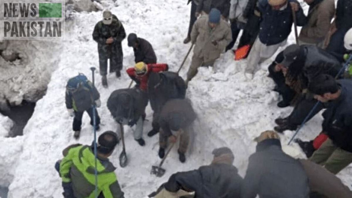 Avalanche claims 11 lives in GB
