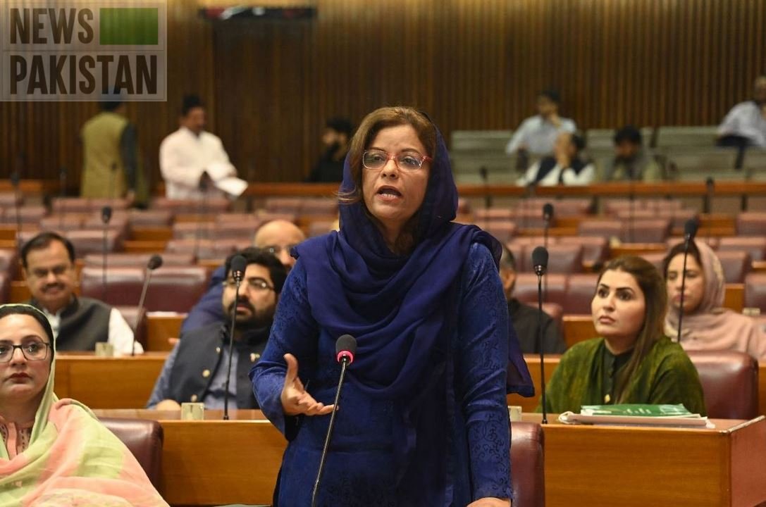 Read more about the article Nafisa Shah on budget for flood victims