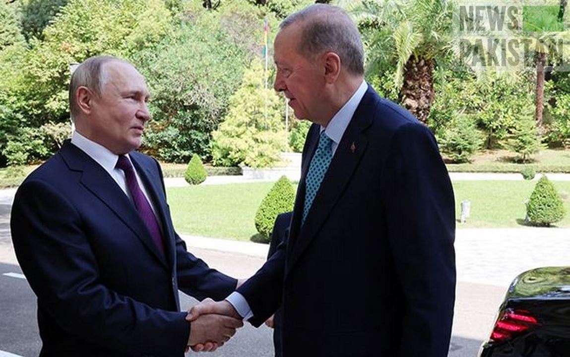 Read more about the article Turkish, Russian presidents meet in Sochi