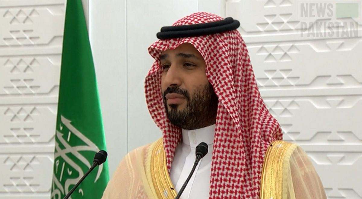 Read more about the article Saudi Crown Prince reaches India for G20 Summit