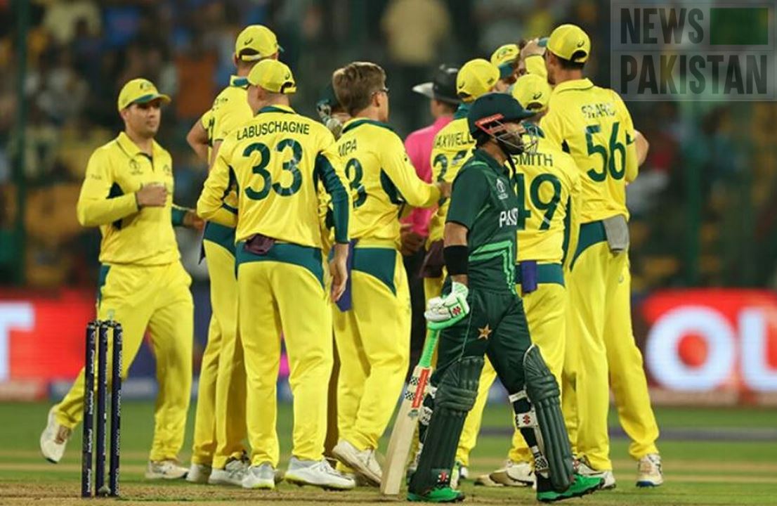 Read more about the article ICC Cricket WC 23: Australia beats Pakistan by 62 runs